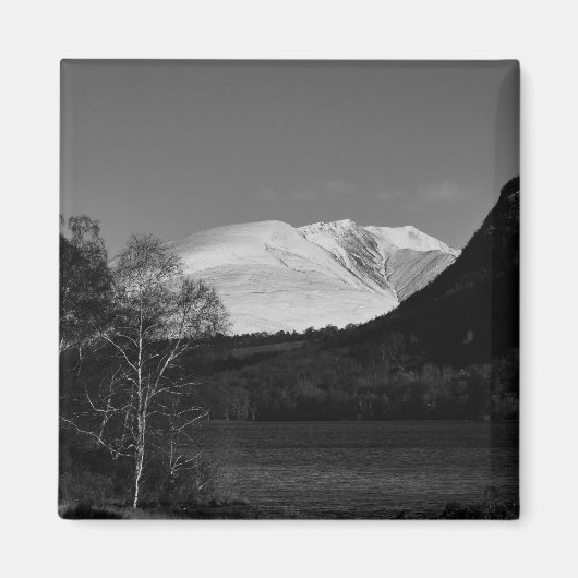 Birkenbaum und Blencathra Magnet (Vorne)