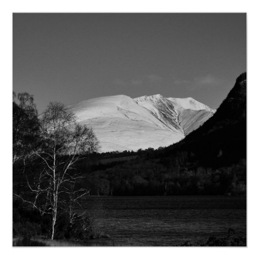 Birkenbaum und Blencathra Poster (Vorderseite)