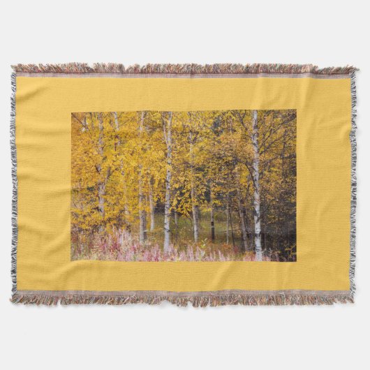 Birkenbäume, die auf dem Wurf gedruckt wurden Decke (Vorderseite)