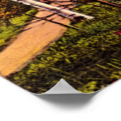 Birkenbäume im Norden Michigans im Frühjahr Poster (Ecke)