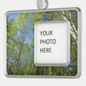 Birkenbäume im Rocky Mountain Rahmen-Ornament Silber (Links)