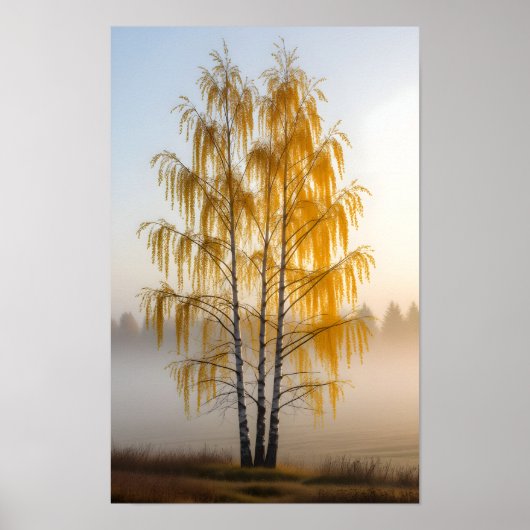 Birkenbäume Poster (Vorne)