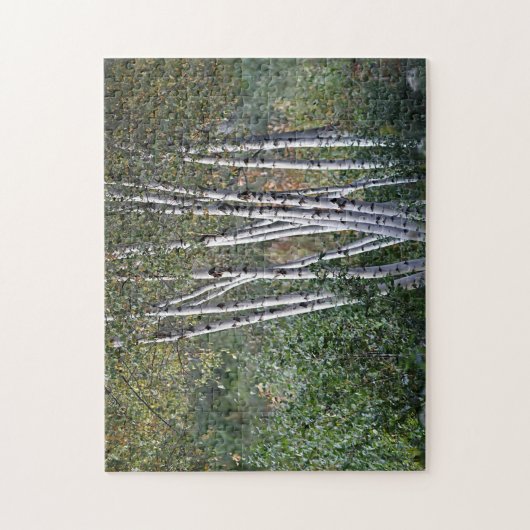 Birkenbäume Puzzle (Vertikal)