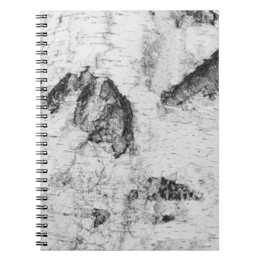 Birkenhalter-Musterheft Notizblock (Vorderseite)