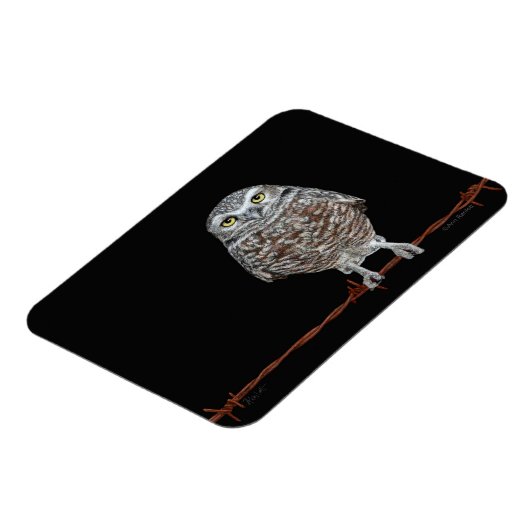 Birkenmagnet Magnet (Linke Seite)