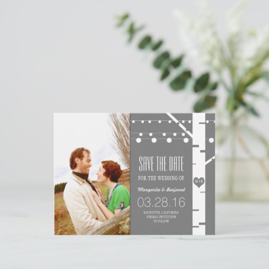 Birkenreihenleuchten Foto Save the Date Ankündigungspostkarte (Stehend Vorderseite)