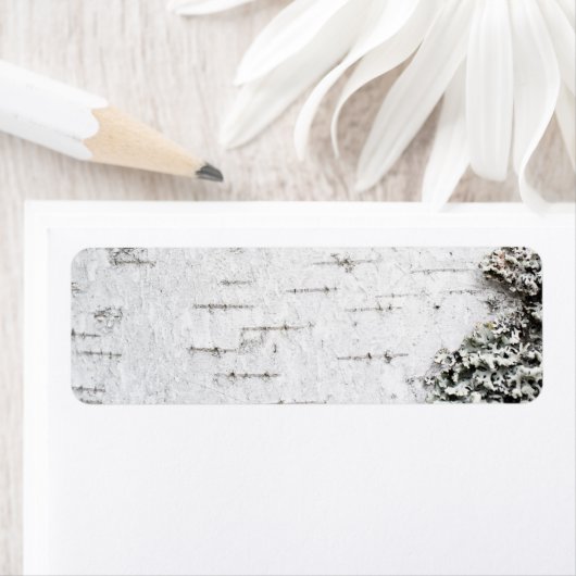 Birkenrinde (Insitu)