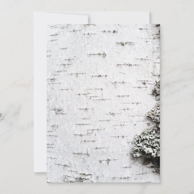 Birkenrinde (Vorderseite)