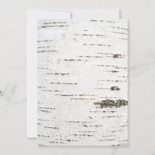 Birkenrinde (Vorderseite)