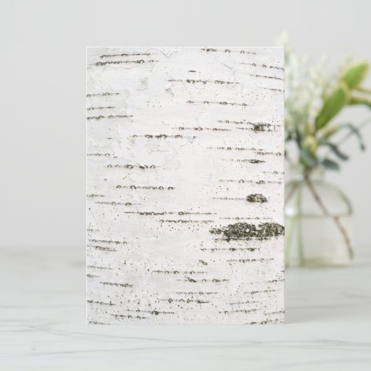 Birkenrinde (Stehend Vorderseite)