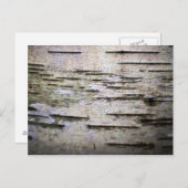 Birkenrinde 1 postkarte (Vorne/Hinten)