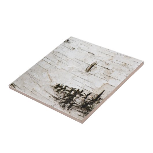 Birkenrinde 2330 fliese (Seite)