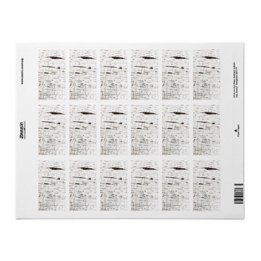 Birkenrinde Adressaufkleber (Vorne)