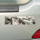 Birkenrinde Autoaufkleber (Auf Auto)