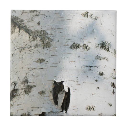 Birkenrinde Fliese (Vorderseite)