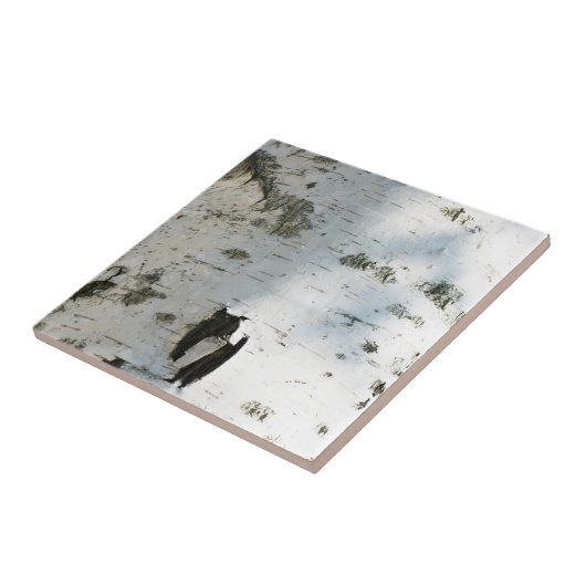 Birkenrinde Fliese (Seite)