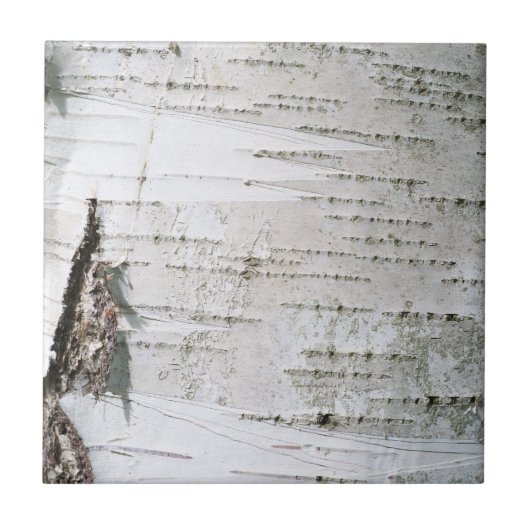 Birkenrinde Fliese (Vorderseite)