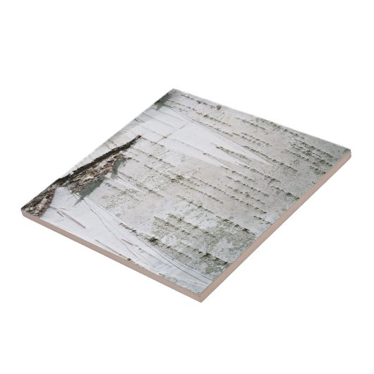 Birkenrinde Fliese (Seite)