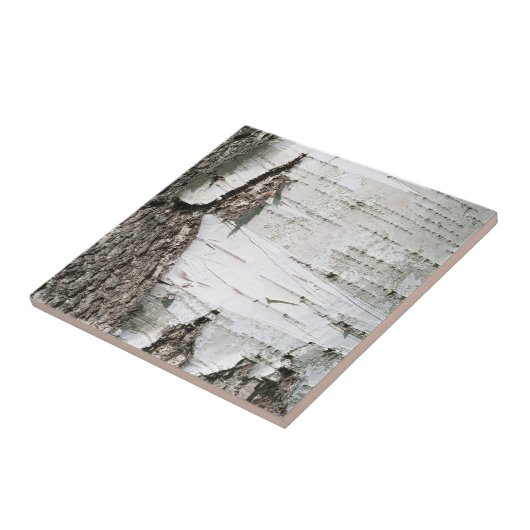 Birkenrinde Fliese (Seite)