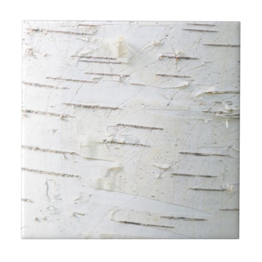 Birkenrinde Fliese (Vorderseite)