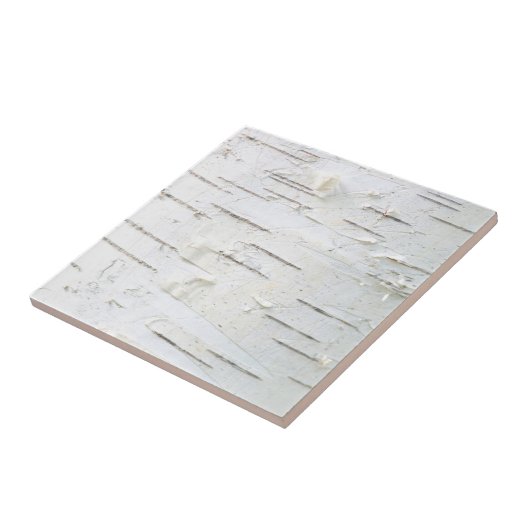 Birkenrinde Fliese (Seite)