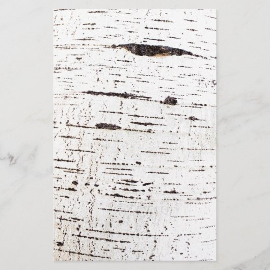 Birkenrinde Flyer (Vorne)