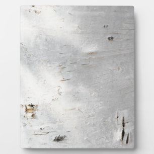 Birkenrinde Fotoplatte