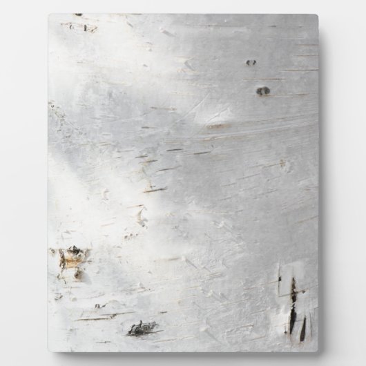 Birkenrinde Fotoplatte (Vorderseite)