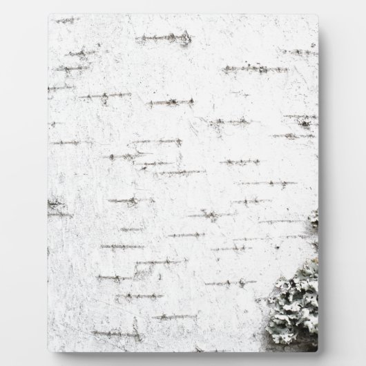 Birkenrinde Fotoplatte (Vorderseite)