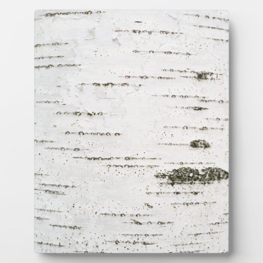 Birkenrinde Fotoplatte (Vorderseite)