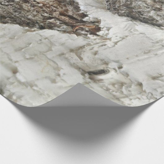 Birkenrinde Geschenkpapier (Ecke)