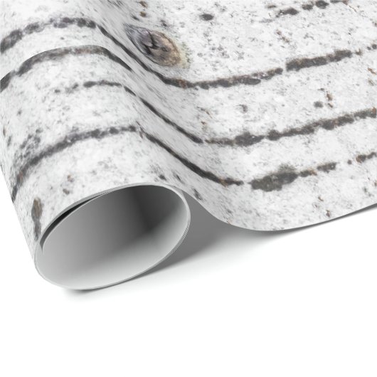 Birkenrinde Geschenkpapier (Rolleneckpunkt)