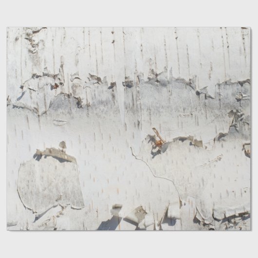 Birkenrinde Geschenkpapier (Flach)