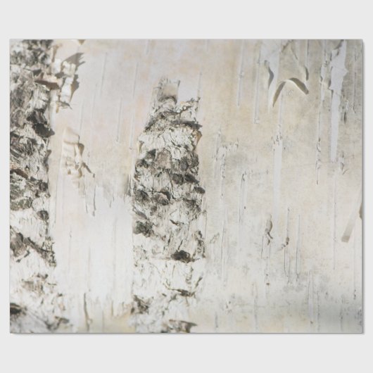 Birkenrinde Geschenkpapier (Flach)