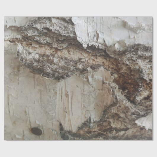 Birkenrinde Geschenkpapier (Flach)