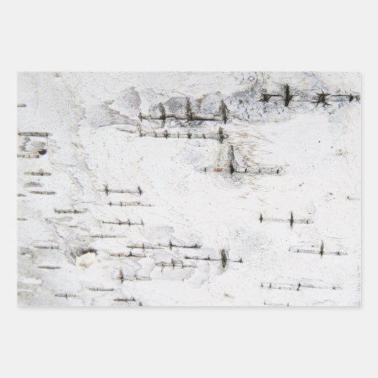 Birkenrinde Geschenkpapier Set (Vorderseite 3)