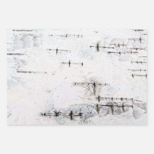 Birkenrinde Geschenkpapier Set (Vorderseite 2)