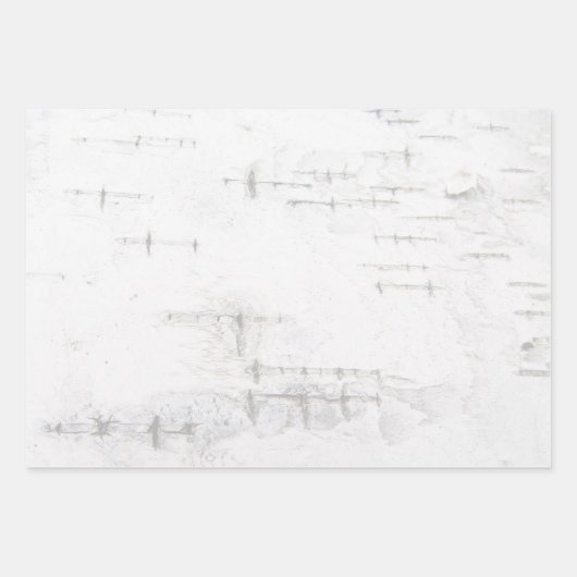 Birkenrinde Geschenkpapier Set (Vorderseite)