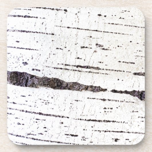 Birkenrinde Getränkeuntersetzer (Vorderseite)