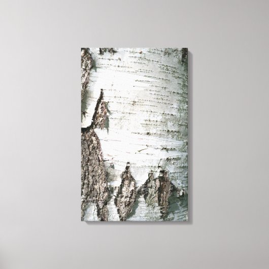 Birkenrinde Leinwanddruck (Vorderseite)