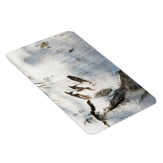 Birkenrinde Magnet (Rechte Seite)