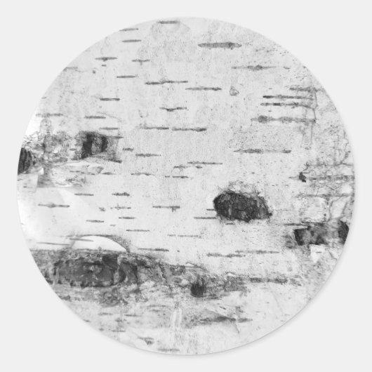 Birkenrinde-Muster klassischer Rundaufkleber Runder Aufkleber (Vorderseite)