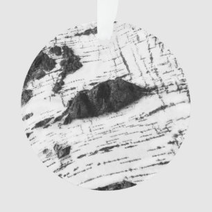 Birkenrinde Ornament