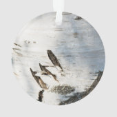 Birkenrinde Ornament (Rückseite)