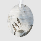 Birkenrinde Ornament (Vorderseite)