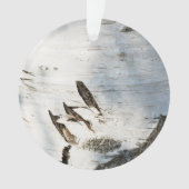 Birkenrinde Ornament (Vorderseite)