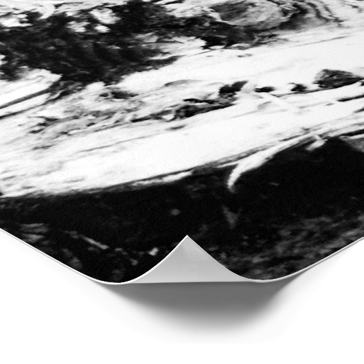 Birkenrinde Poster (Ecke)