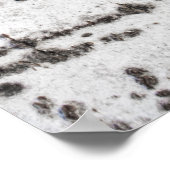 Birkenrinde Poster (Ecke)