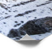 Birkenrinde Poster (Ecke)