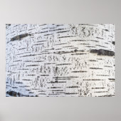 Birkenrinde Poster (Vorne)